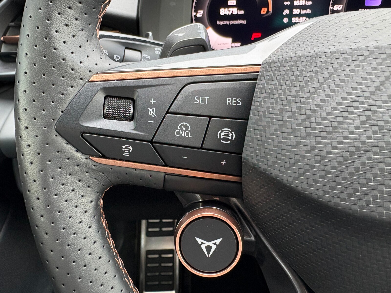 Cupra Terramar - zdjęcie 24