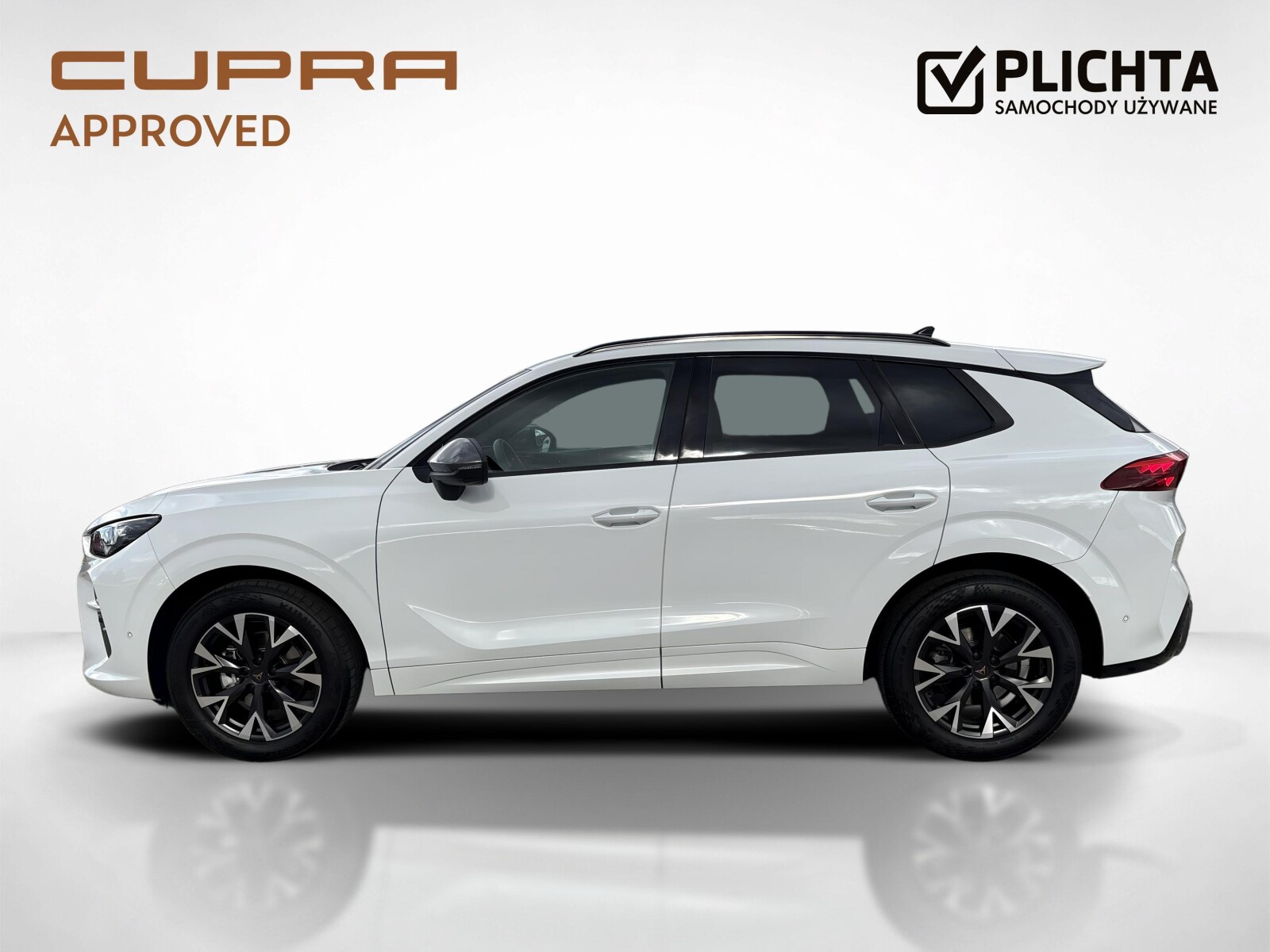 Cupra Terramar - zdjęcie 2
