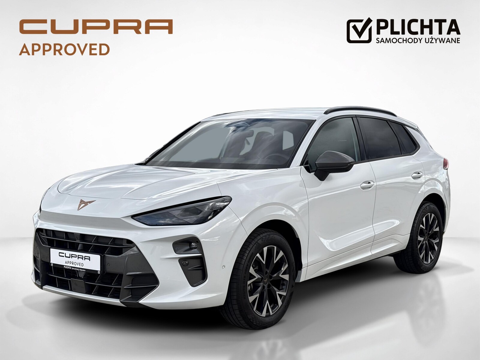 Cupra Terramar - zdjęcie 1