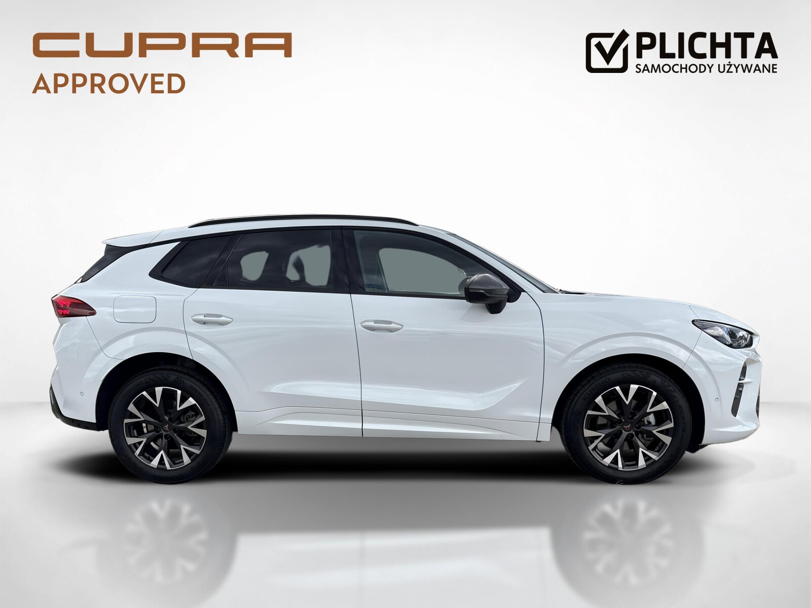 Cupra Terramar - zdjęcie 6