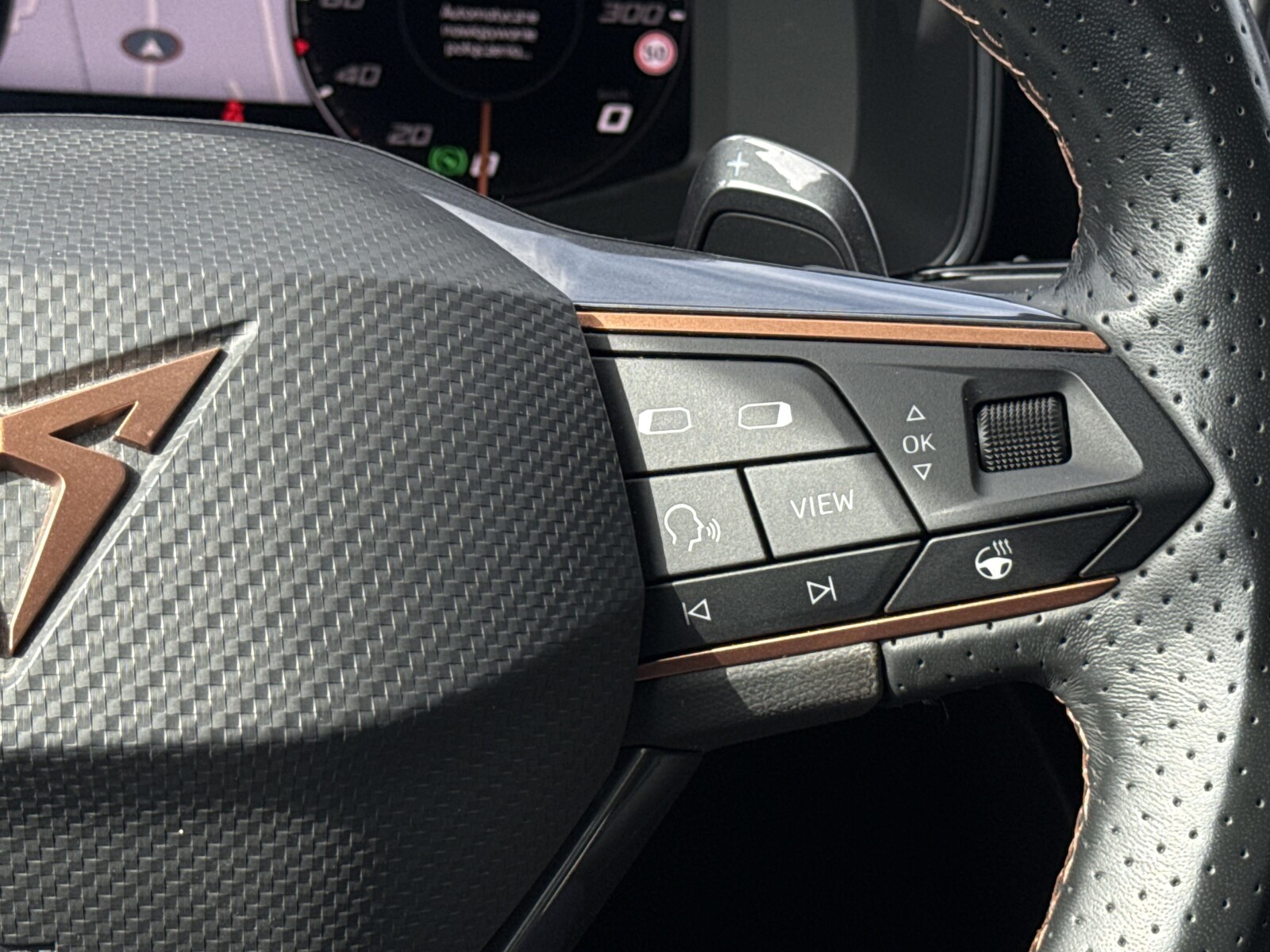 Cupra Formentor - zdjęcie 17