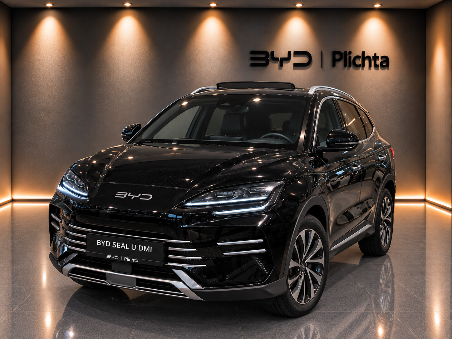 Bogate Wyposażenie, Długa Gwarancja, Daleki Zasięg Elektryczny, PHEV