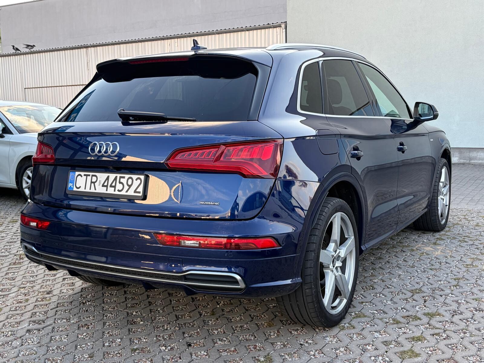 Audi Q5 - zdjęcie 2