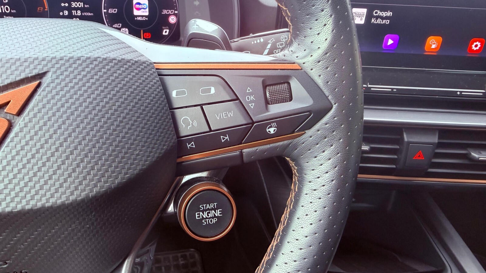 Cupra Formentor - zdjęcie 18