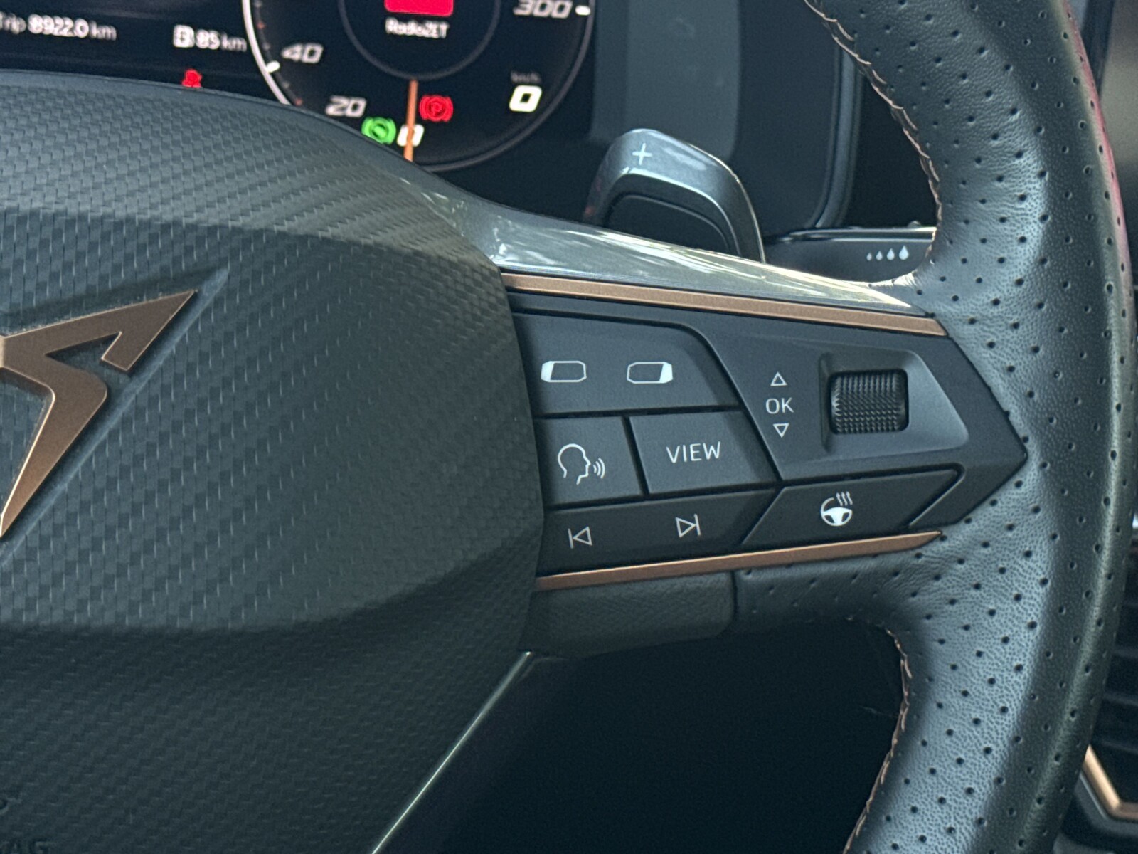 Cupra Formentor - zdjęcie 16