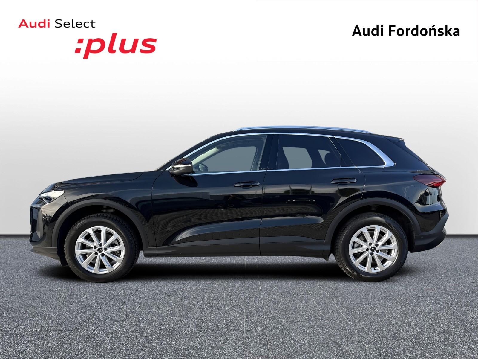 Audi Q5 - zdjęcie 2