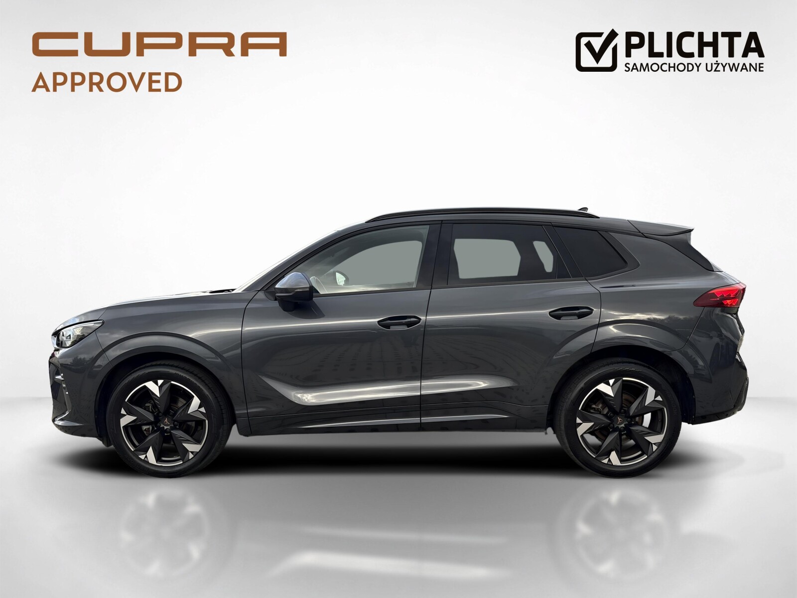 Cupra Terramar - zdjęcie 2