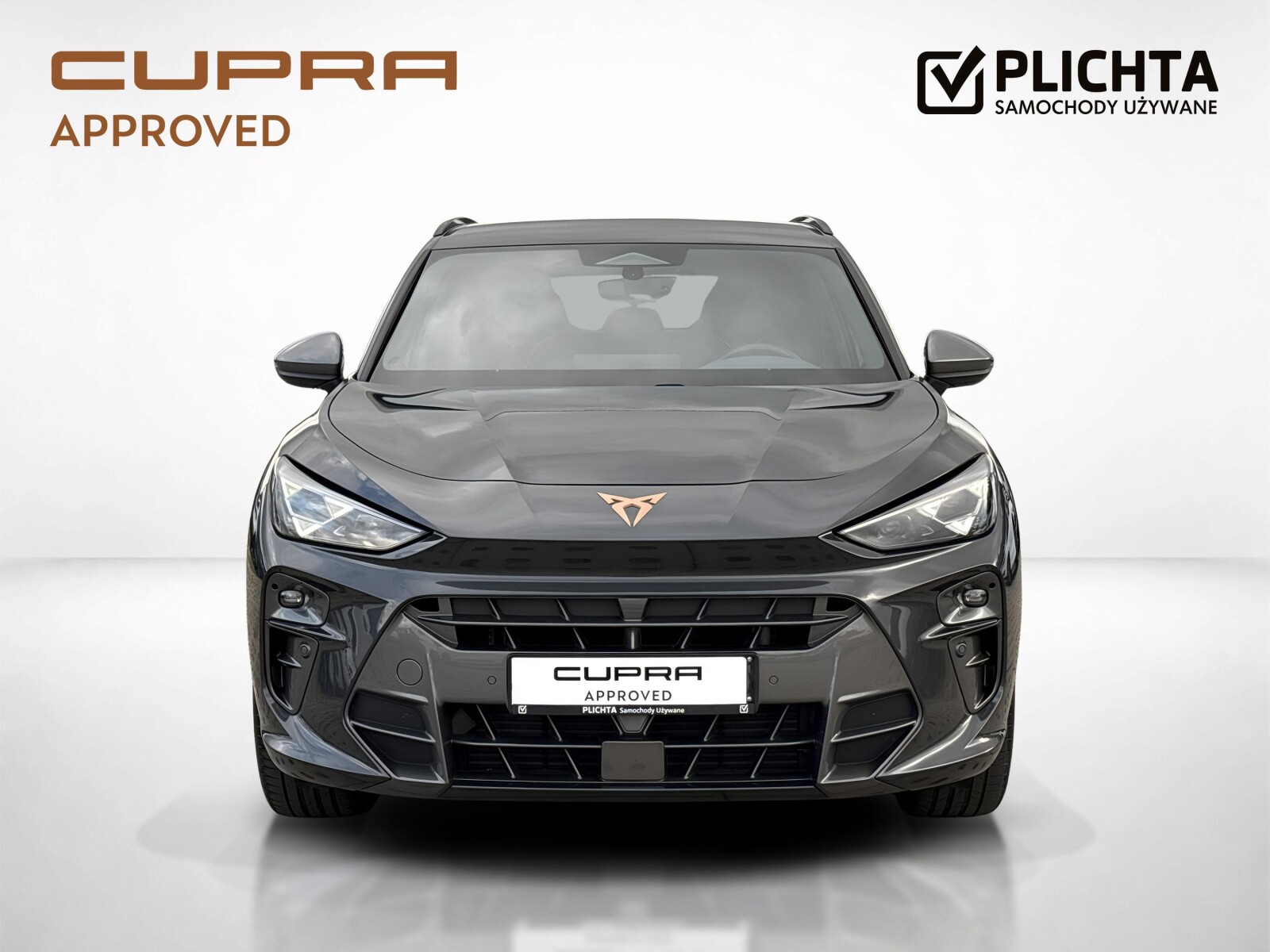 Cupra Terramar - zdjęcie 8