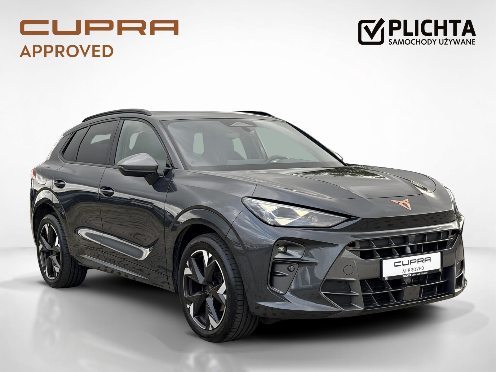 Cupra Terramar - zdjęcie 7