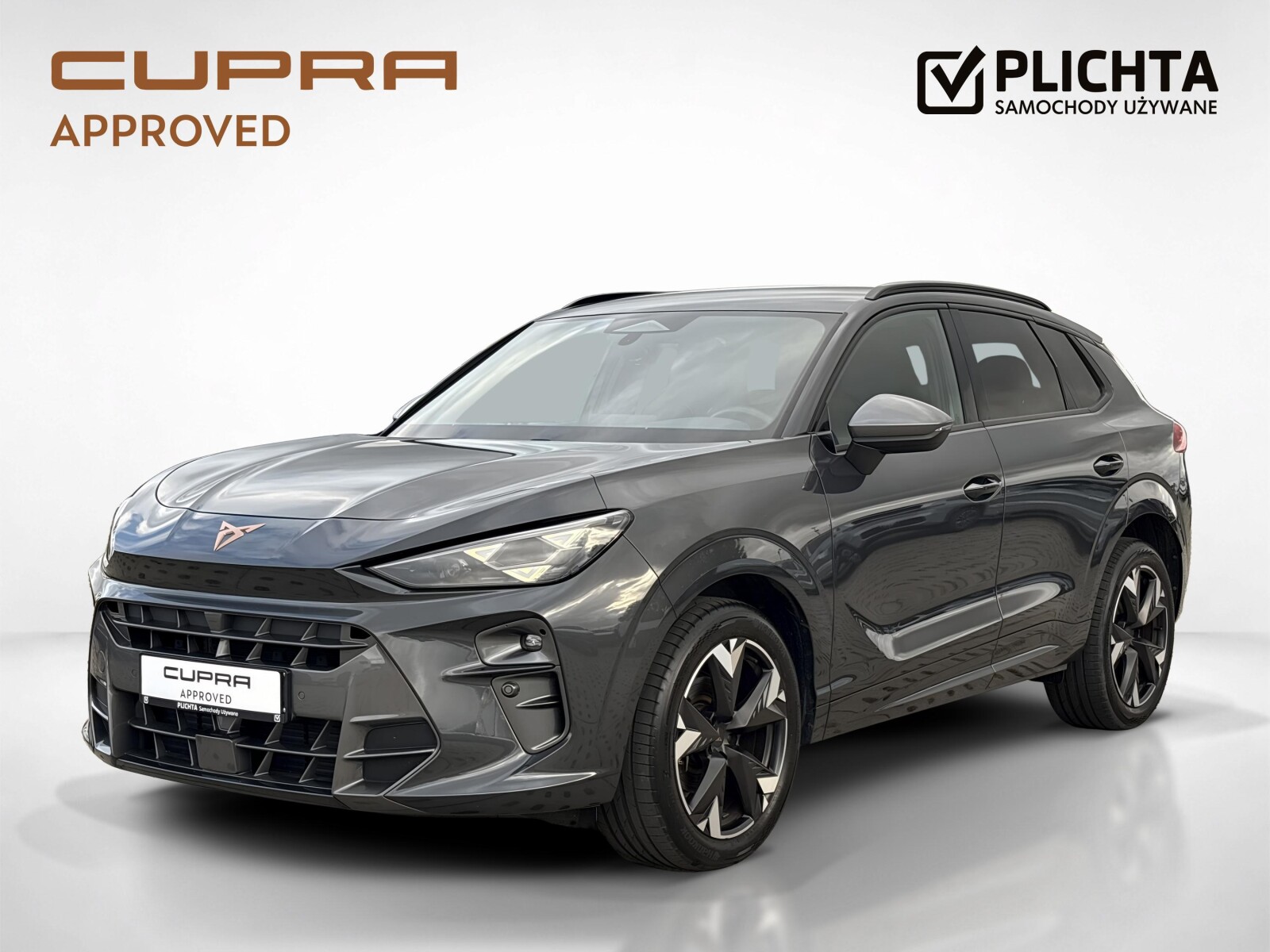 Cupra Terramar - zdjęcie 1