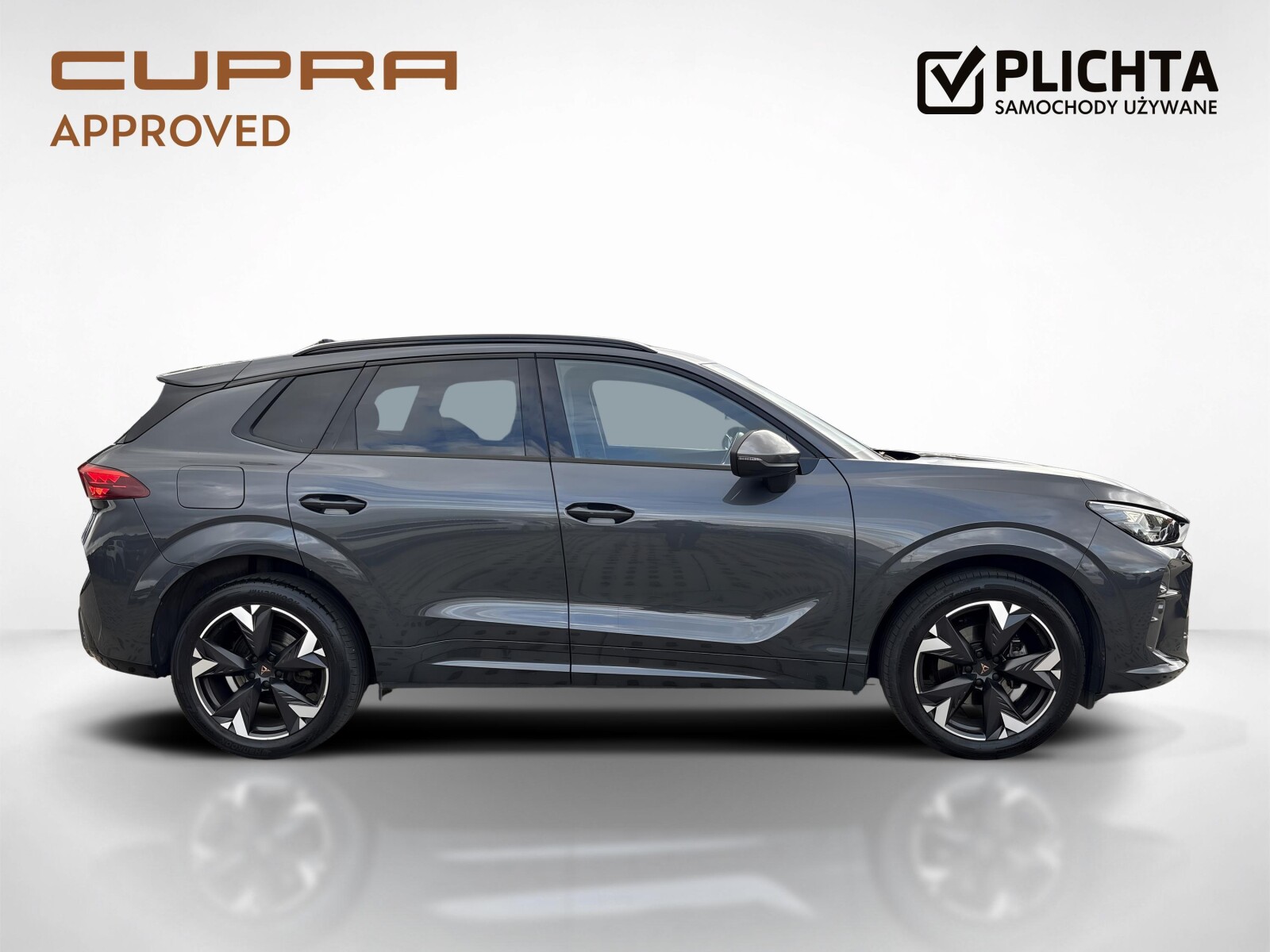Cupra Terramar - zdjęcie 6