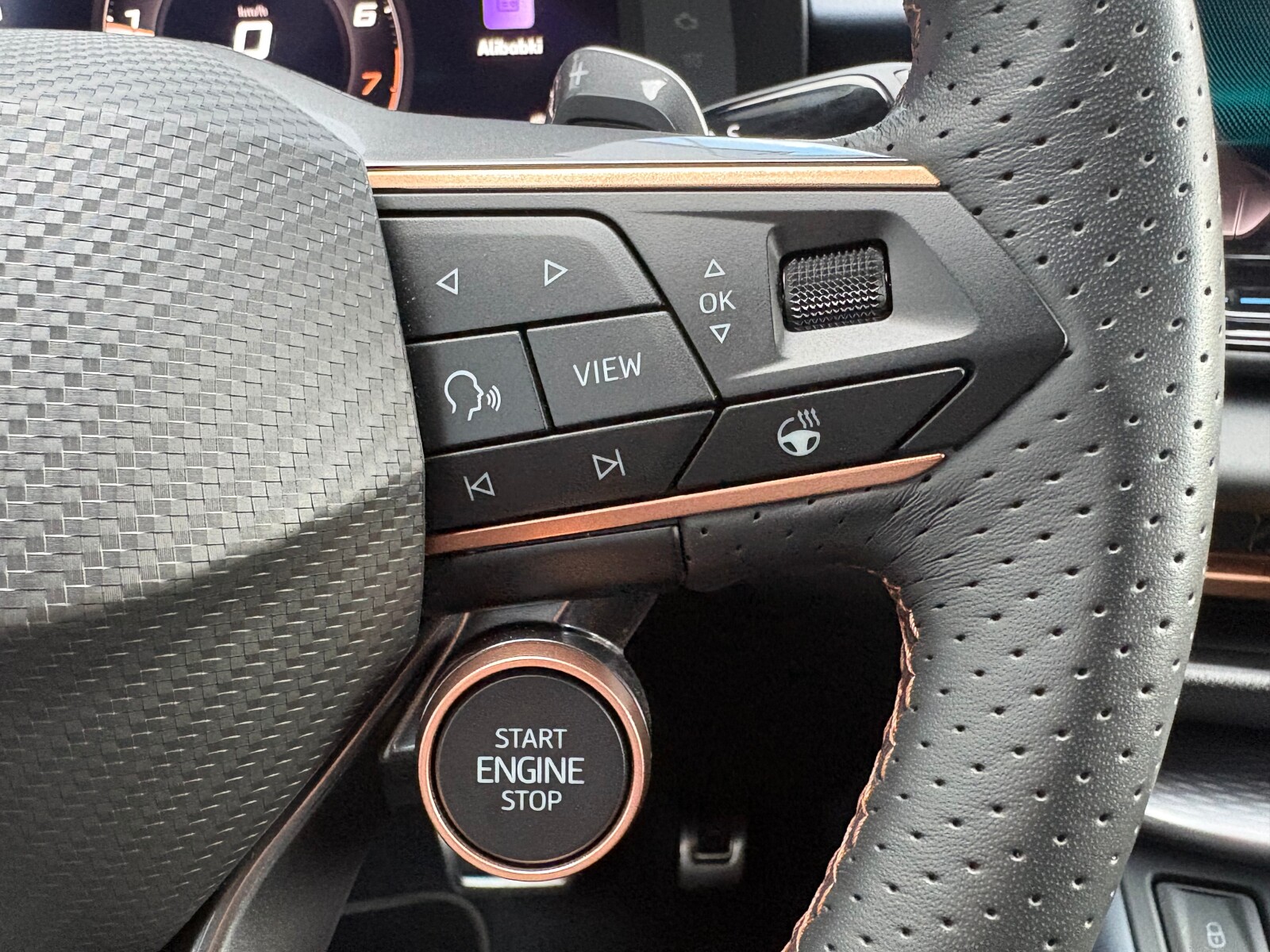 Cupra Terramar - zdjęcie 23