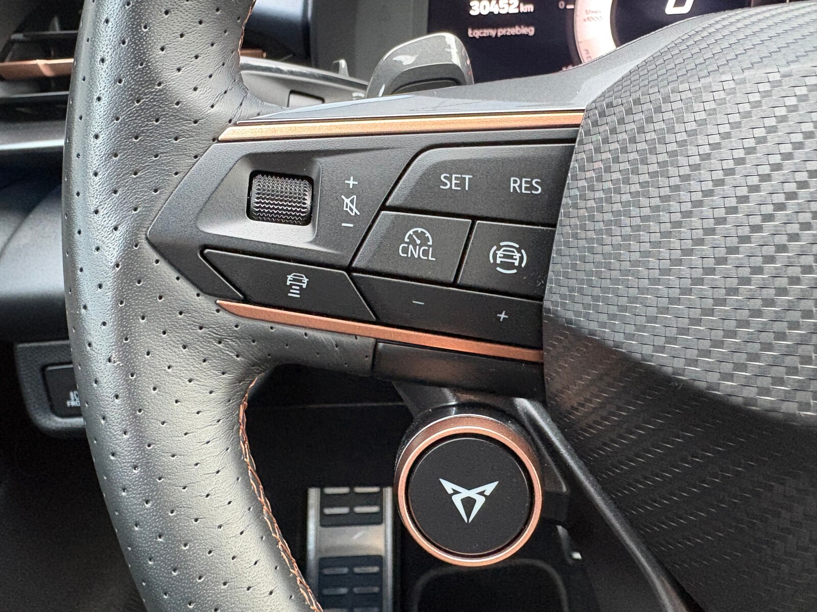 Cupra Terramar - zdjęcie 22