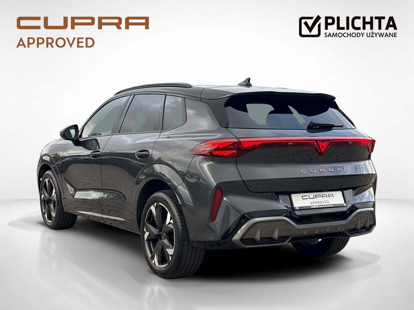 Cupra Terramar - zdjęcie 3