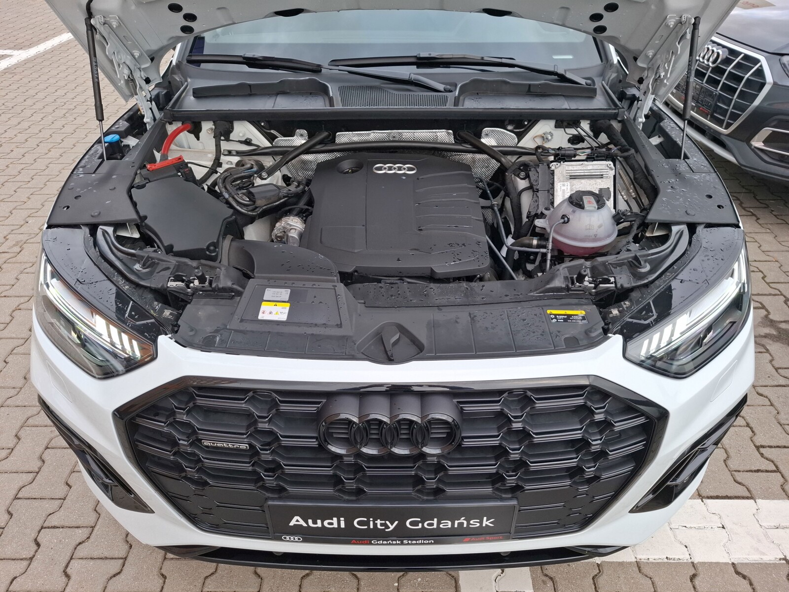 Audi Q5 - zdjęcie 17
