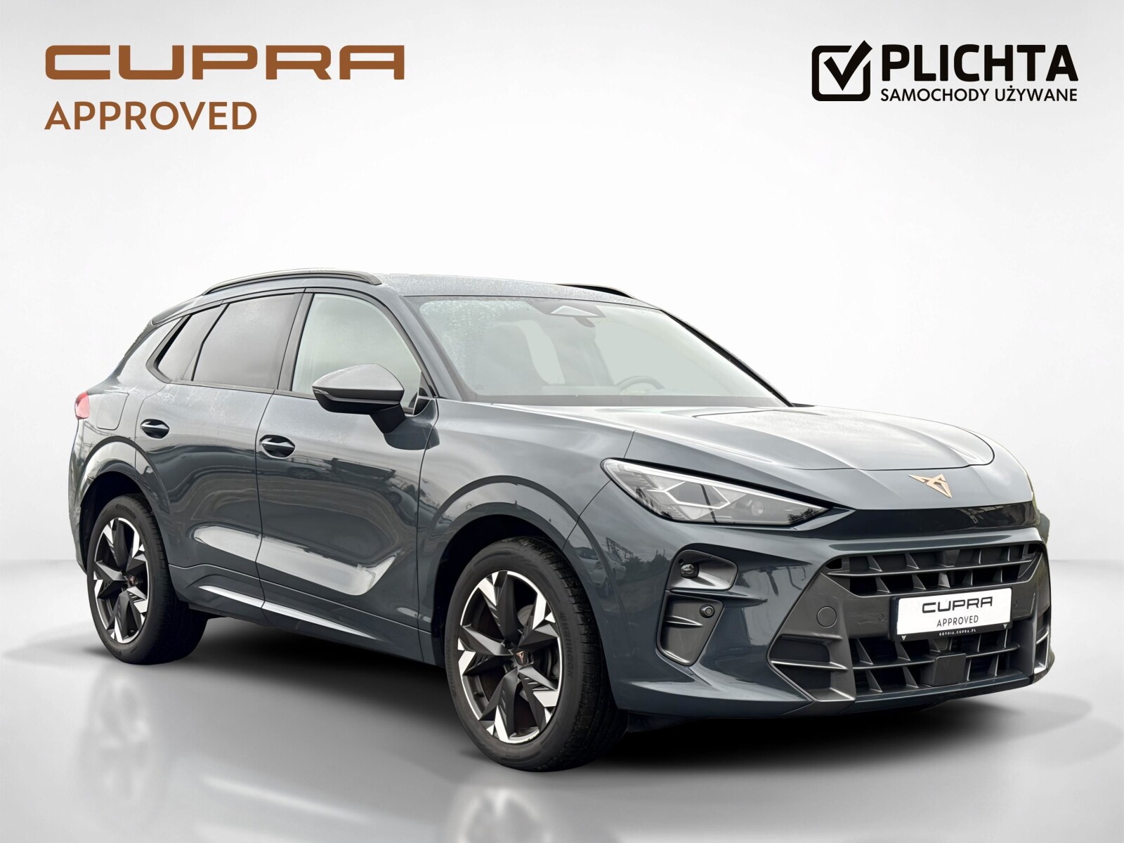 Cupra Terramar - zdjęcie 7