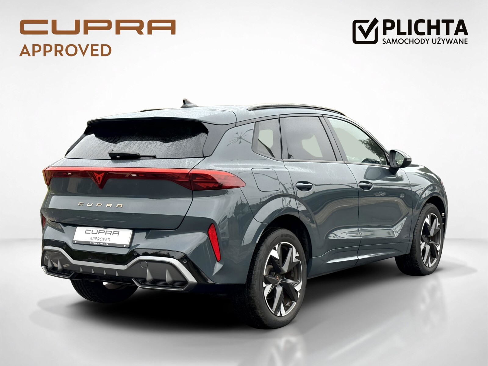 Cupra Terramar - zdjęcie 5