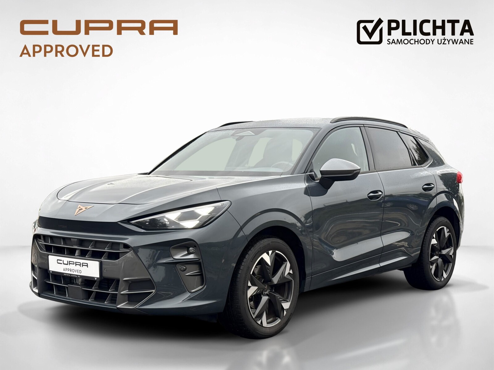 Cupra Terramar - zdjęcie 1