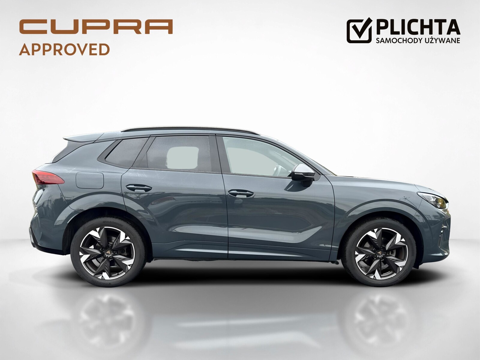 Cupra Terramar - zdjęcie 6