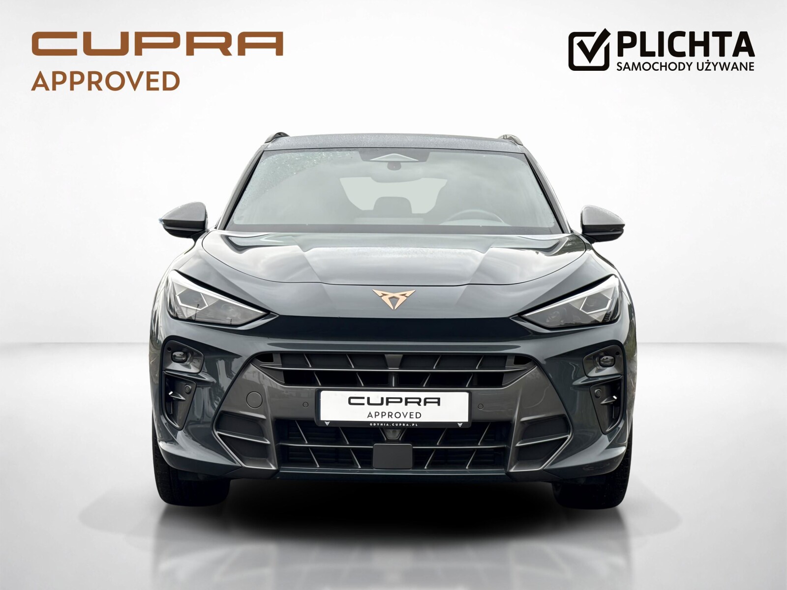 Cupra Terramar - zdjęcie 8
