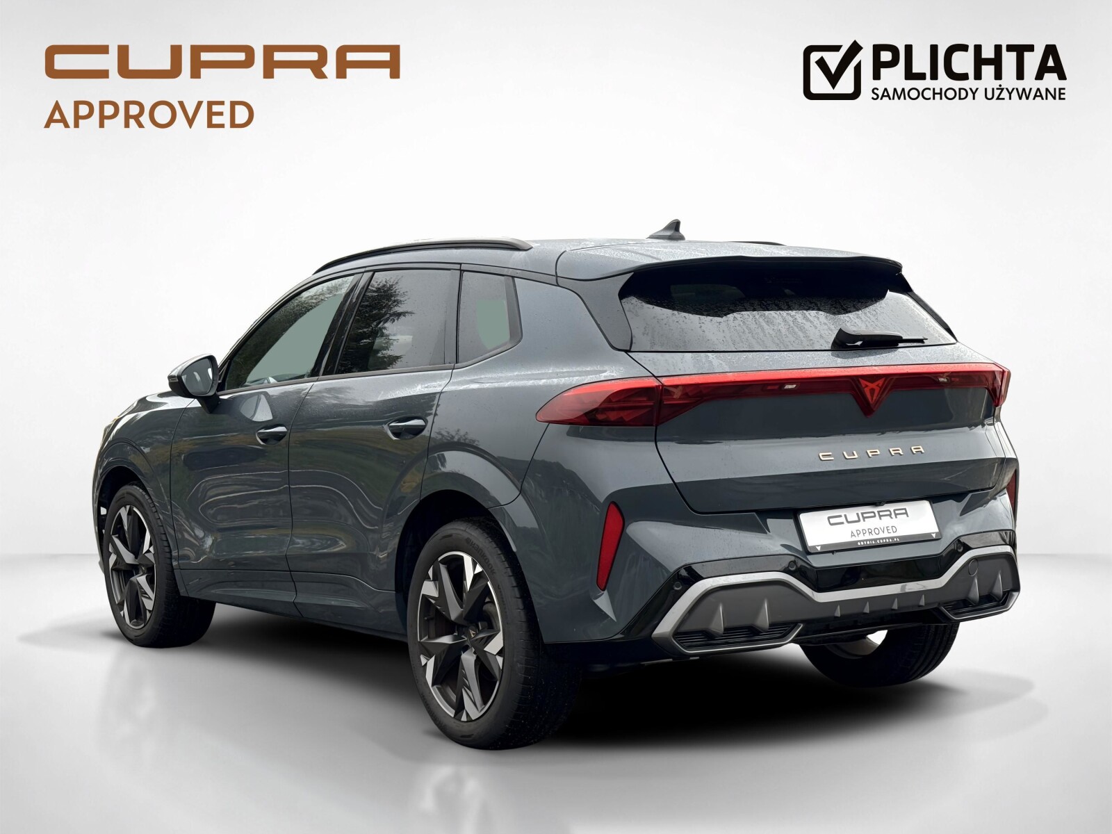 Cupra Terramar - zdjęcie 3