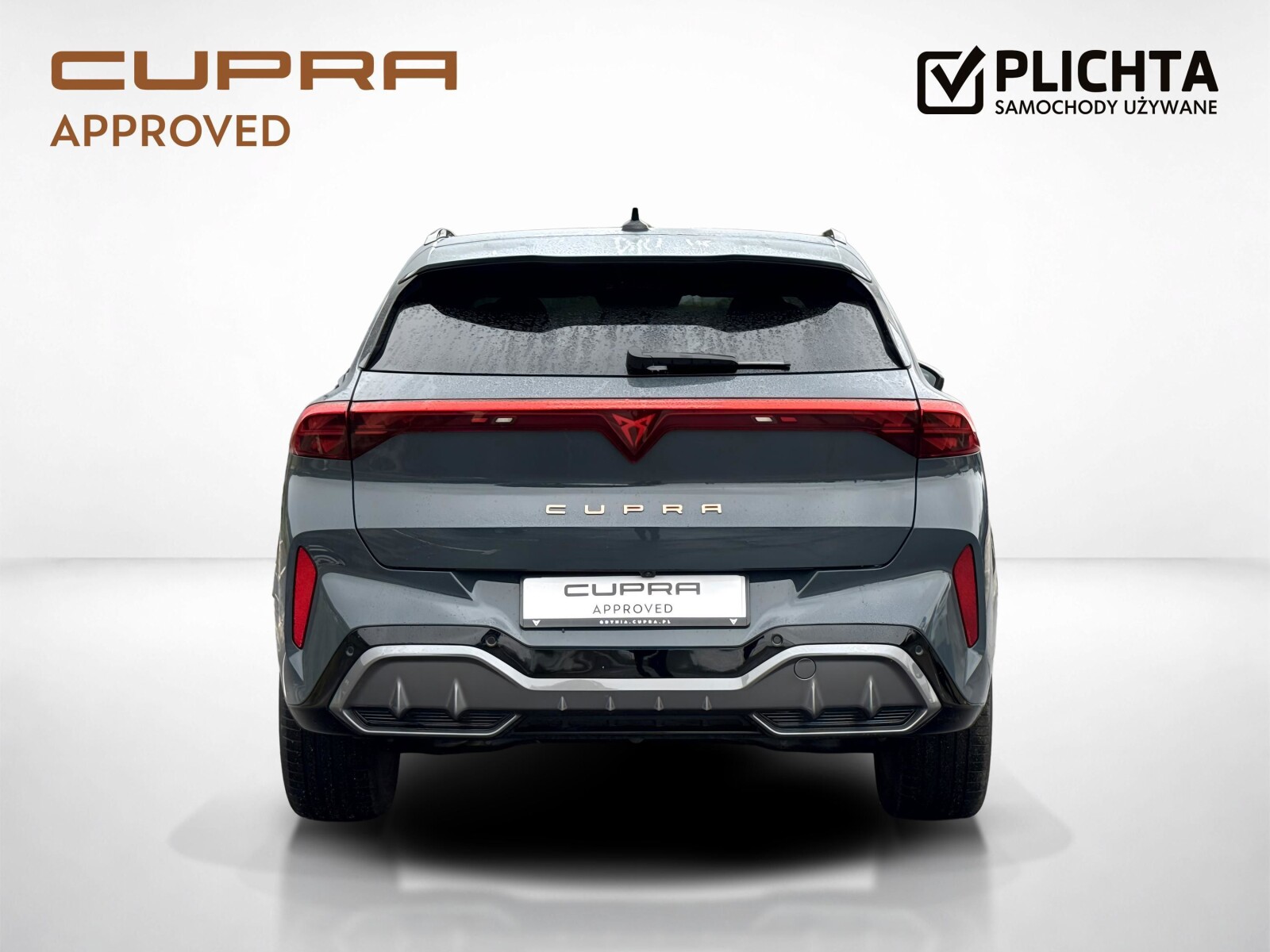 Cupra Terramar - zdjęcie 4
