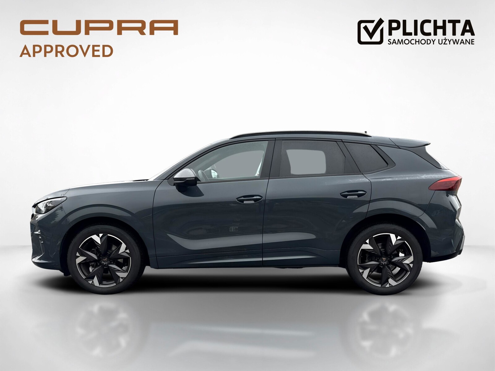 Cupra Terramar - zdjęcie 2